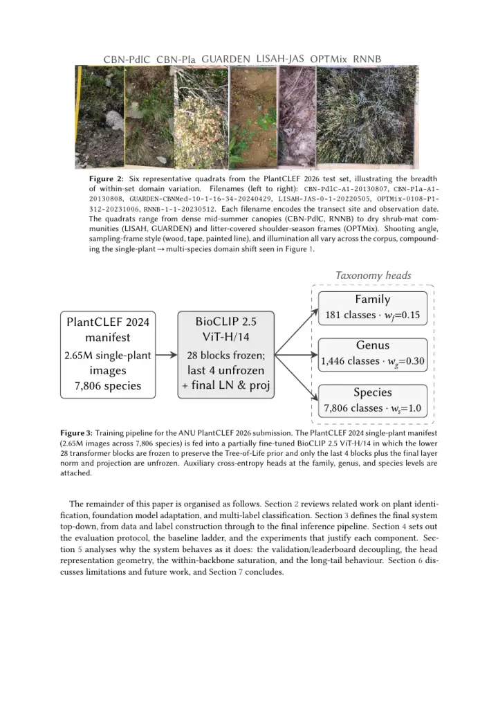 A page of figures from the PlantCLEF 2026 paper: training images and test quadrats